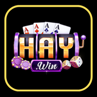 logo haywin